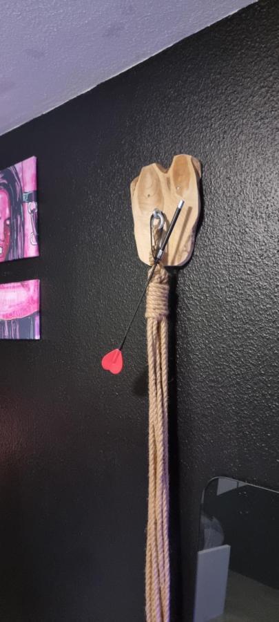 ストラスブールLe Coin Des Desirs Bdsmアパートメント エクステリア 写真
